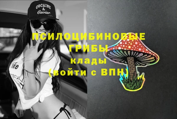 mix Касимов