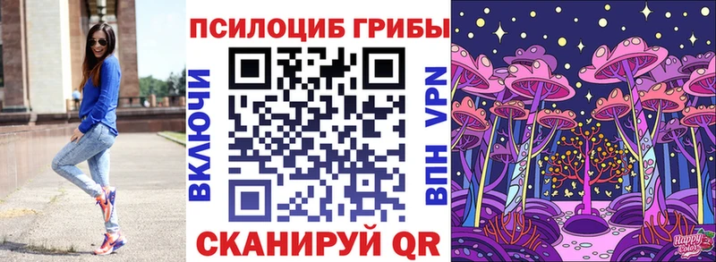 MEGA как войти  Карпинск  Галлюциногенные грибы Psilocybine cubensis 