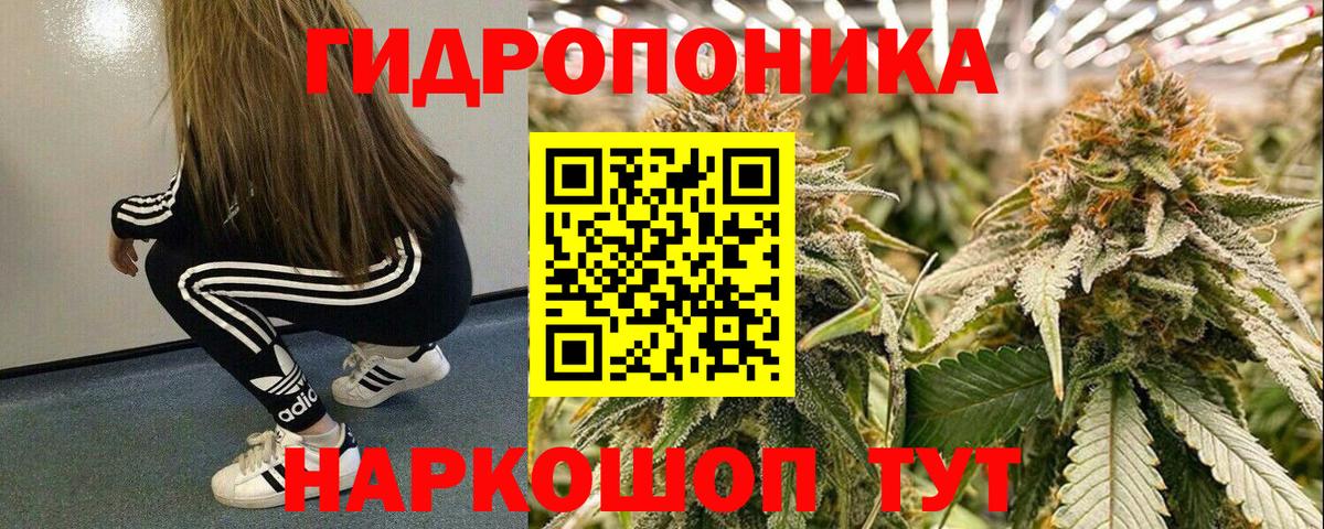 Бошки Шишки VHQ  Канабис семена  Карпинск  Вход с VPN  Бошки Шишки White Widow 